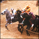 Palio of Siena